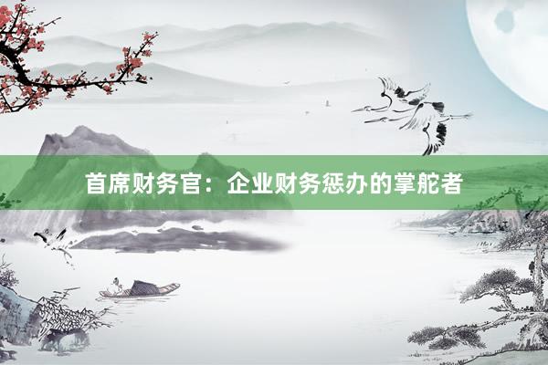 首席财务官：企业财务惩办的掌舵者